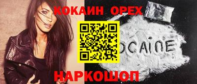 гидра Новодвинск