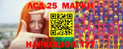 гидра Новодвинск